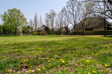 Obraz premium 茅葺屋根と庭