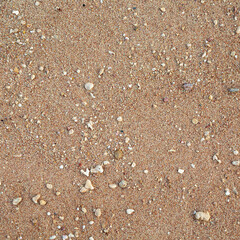 Textured beach sand background, Red Sea, Egypt