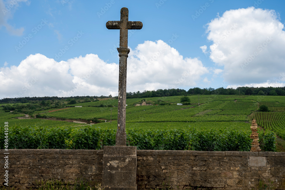 Wall mural famous clos vineyards with stone walls near nuits-saint-georges in burgundy wine region, france