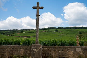 Fototapeta na wymiar Famous clos vineyards with stone walls near Nuits-Saint-Georges in Burgundy wine region, France