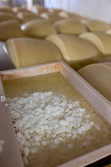 Process of making parmigiano-reggiano parmesan cheese on small cheese farm in Parma, Italy, salting...