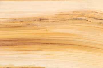 Close up shot of split wood texture background - good for design
