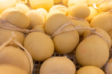 Cheese collection, Scamorza hard South Italian cow's milk cheese