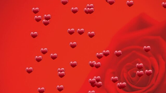 Animation of hearts floating over rose on red background