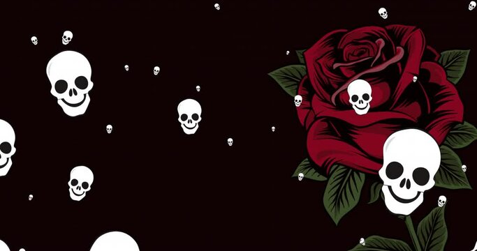 Animation of skull icons falling and rose on black background
