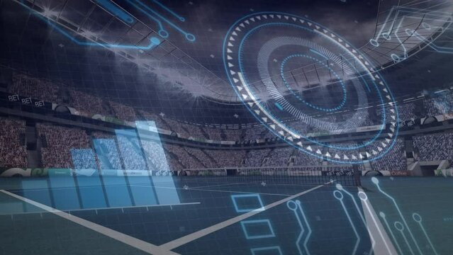 Animation of diverse data and graphs over stadium