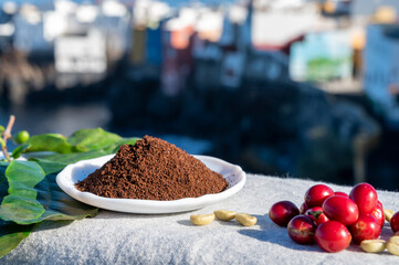 Red ripe arabica coffee berries, green coffee beands, leaves and roasted ground coffee in bowl and blue ocean view