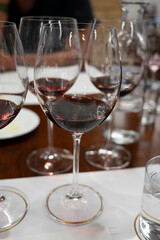 Red Brunello di Montalcino wine and olive oil tasting tour in cantina near Montalcino Tuscany, Italy
