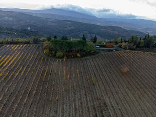 Aerial view on hills vineyards near wine making town Montalcino, Tuscany, rows of grape plants after harvest, Italy