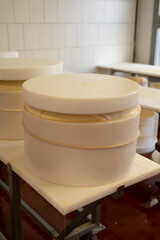 Process of making wheels of parmigiano-reggiano parmesan cheese on small cheese farm in Parma, Italy