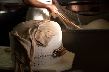 Process of making wheels of parmigiano-reggiano parmesan cheese on small cheese farm in Parma, Italy