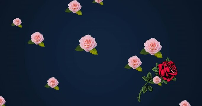 Animation of roses floating over dark blue background