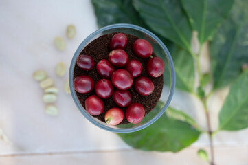 Red ripe arabica coffee berries, green coffee beands, leaves and roasted ground coffee in glass on marble table