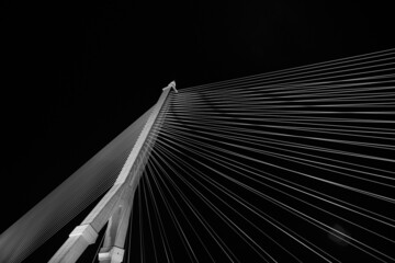 Black and white Wire ropes stretch a large bridge with bright lights at night.Ant's eyes view