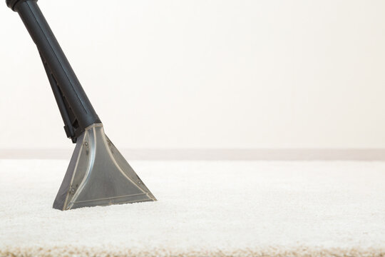 Big spray nozzle of professional vacuum cleaner washing white carpet at home. Closeup. Commercial cleaning service. Empty place for text on light gray wall background.