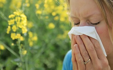 woman with allergy sneezing because of pollen blowing her nose with  yellow flower background stock photo - obrazy, fototapety, plakaty