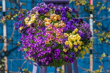 Fototapete bei efototapeten.de bestellen   