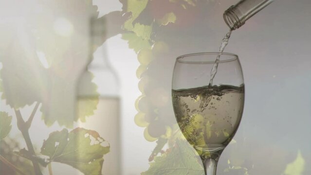 Animation of white wine pouring into glass on background with grapes