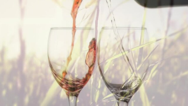 Animation of white and rose wine pouring into glass on background with trees
