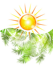 Fropical palm leaves frame botanical vector illustration. Exotic nature card or banner . Jungle green leaf floral pattern. Tropical palm leaves card. Palm trees and sun. Hello summer.