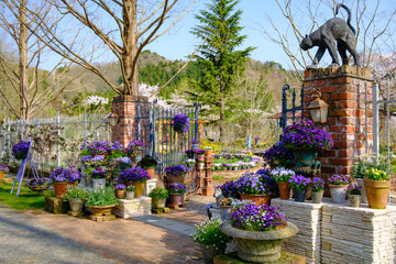 Fototapete bei efototapeten.de bestellen   