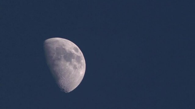 Blue moon.  Half moon against a blue sky, left of frame.
