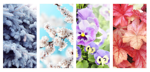 Four seasons of year. Set of vertical nature banners with winter, spring, summer and autumn scenes