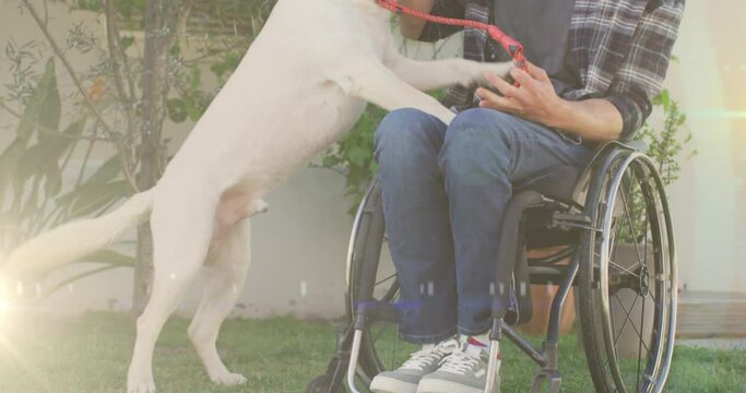 Spot of light against caucasian handicapped man on wheelchair playing with his dog