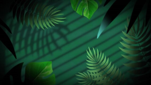 Animation of jungle plants over leaves and window shadow on green background
