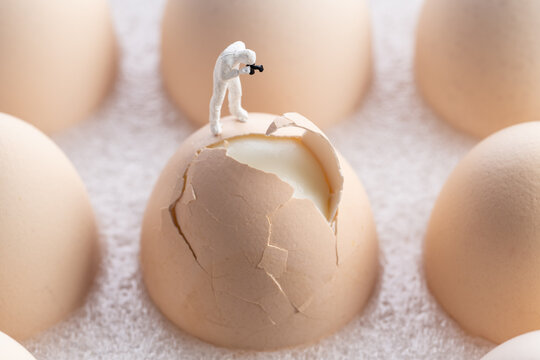 miniature inspectors checking eggs fissure. Quality control concept.