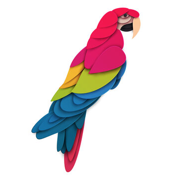 Abstract macaw bird isolated on white background. Creative 3d concept in cartoon craft paper cut style. Colorful minimal design character. Modern geometric vector illustration.