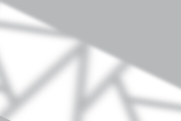 Window Sunlight Shadow Overlay Effect