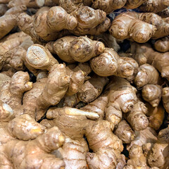 Ginger, close-ups. Lots of roots. Texture background.