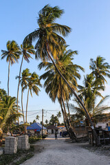 Zanzibar images