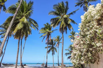 Foto op Plexiglas Zanzibar images © STORYTELLER