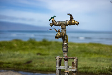 Three Drippy Faucets Near the Ocean