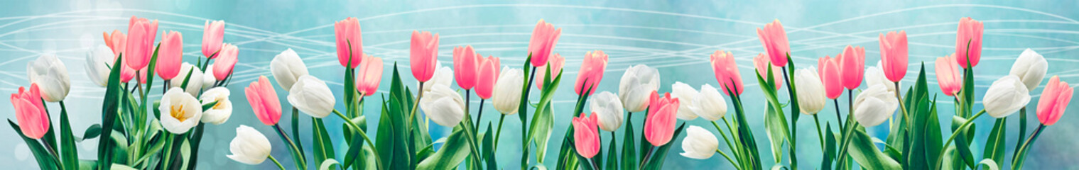 Skinali. Flowers, a panorama of flowers. Composition of flowers. Image for skinali