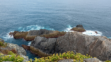Fototapeta na wymiar Cliff in the Atlantic Ocean with rocks and yellow flowers