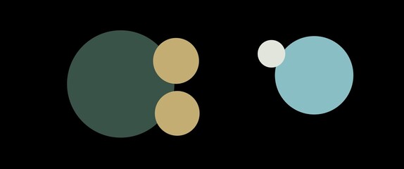 black and white eggs on black