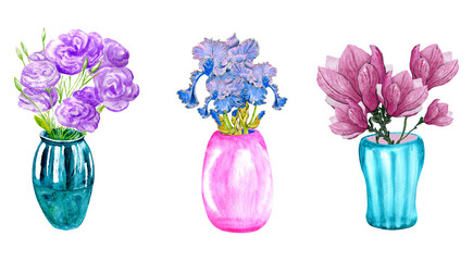 Watercolor set of violet and pink floral bouquets in colorful vases. Blooming irises and magnolia flowers in vases.