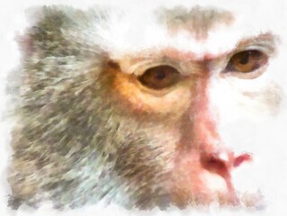 Monkey's face in various gestures watercolor style illustration impressionist painting.