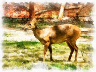 deer walking watercolor style illustration impressionist painting.