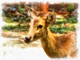deer walking watercolor style illustration impressionist painting.