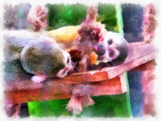 small monkey watercolor style illustration impressionist painting.