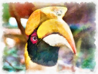 Hornbill head watercolor style illustration impressionist painting.
