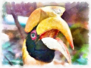 Hornbill head watercolor style illustration impressionist painting.