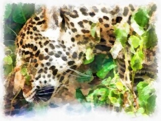 Naklejka premium Leopard in various gestures watercolor style illustration impressionist painting.