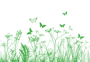 Green Grass With Flowers And Insects, Isolated On White Background, Vector Illustration