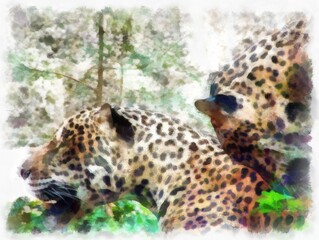 Leopard in various gestures watercolor style illustration impressionist painting.