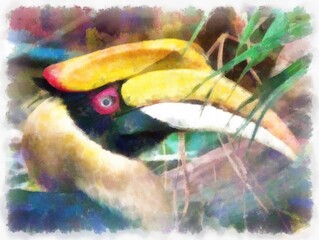 Hornbill head watercolor style illustration impressionist painting.